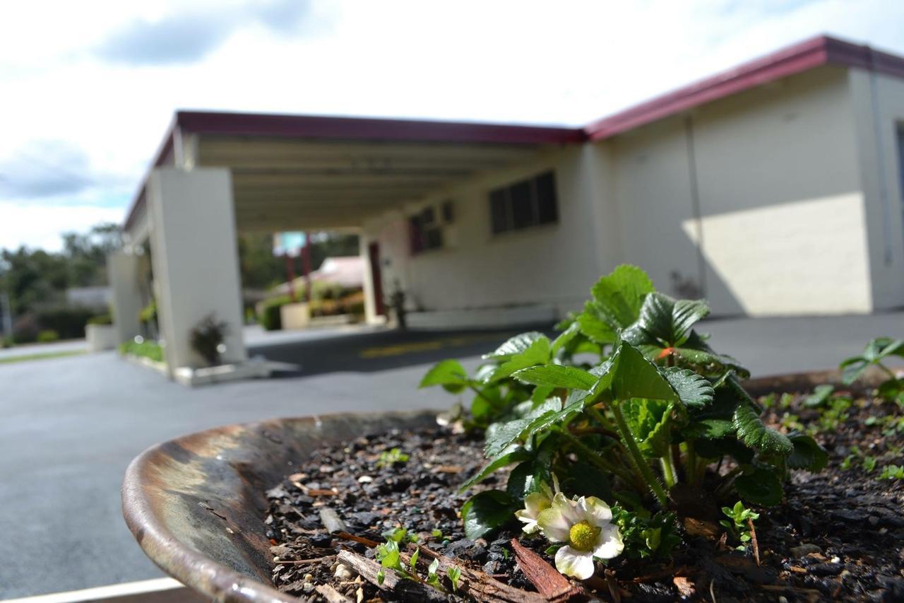 Wattle Motel セイモア エクステリア 写真